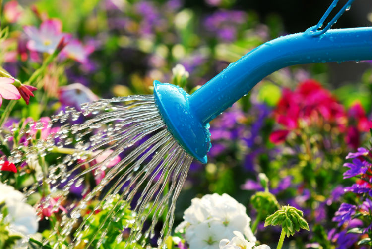 Gartenbewässerung