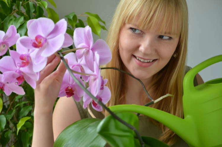 Eine Frau gießt Ihre Blumen