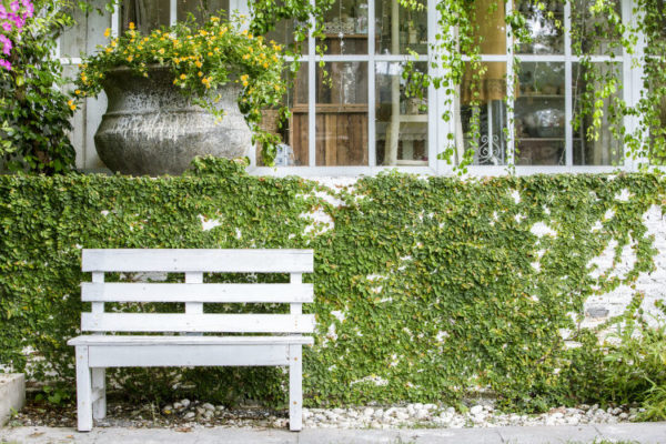 DIY Gartenbank vor einer Hausfassade mit Pflanzen