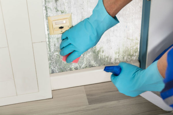 Schimmel wird von der Wand entfernt