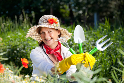 Ernten Sie Ihr eigenes Obst und Gemüse aus Ihrem Garten