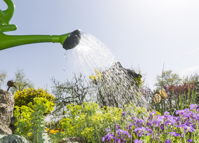 Ständiges Blumengießen im Sommer ist unabdingbar