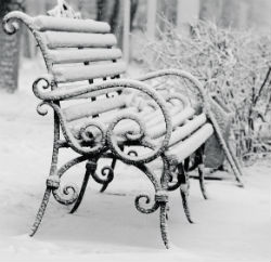 Winter Garten