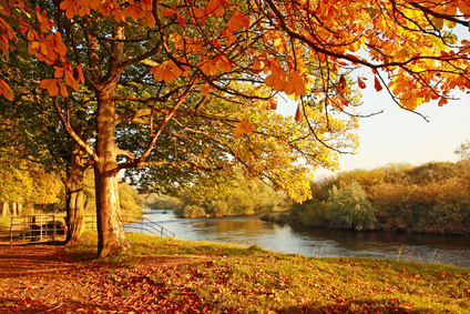 Die Farbenvielfalt des Herbstes ist atemberaubend