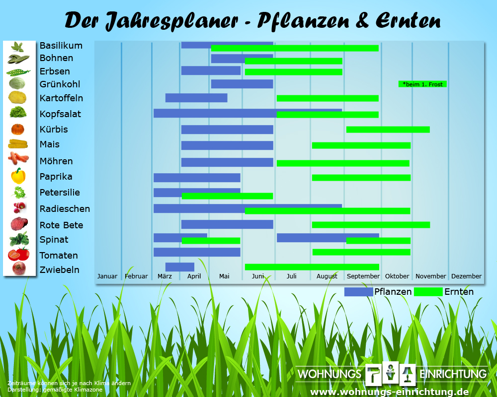 Genaue Infografik über die genaue Saat und Ernte von Obst und Gemüse