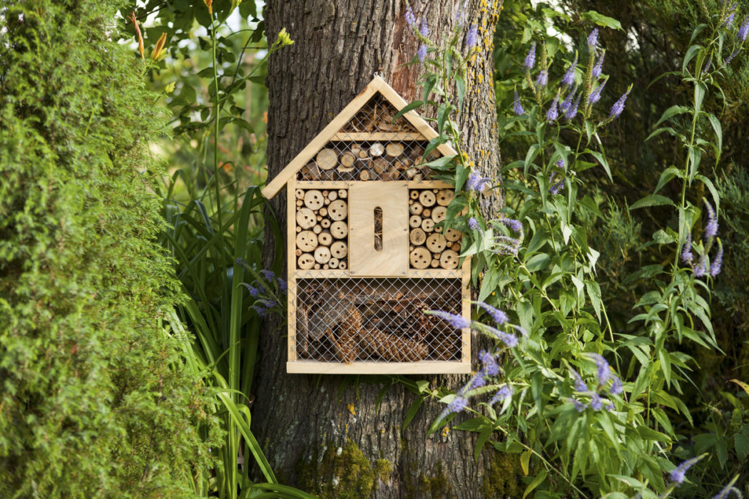 Insektenhotel hängt in einem garten am Baum
