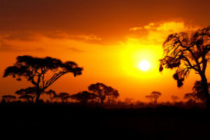 Afrikanisch Dekorieren: Sonnenuntergang Savanne