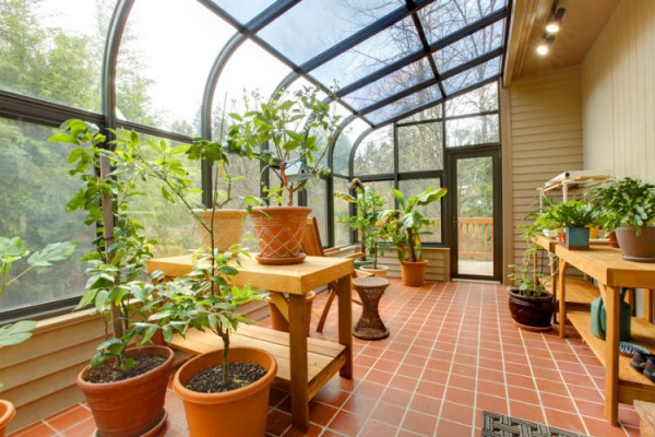 Wintergarten mit Pflanzen