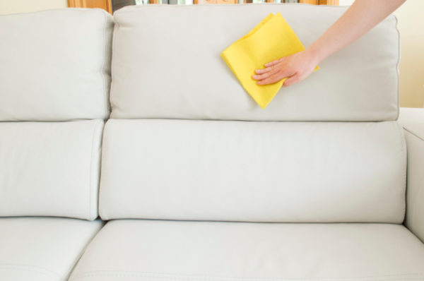 Ledersofa welches gereinigt wird