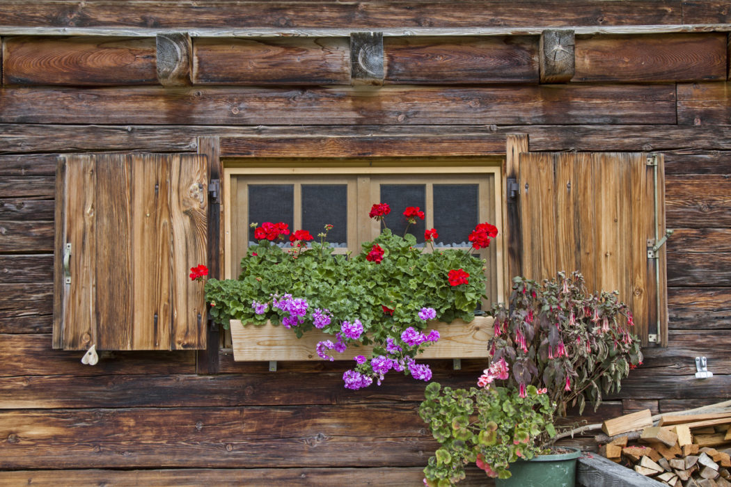Detailaufnahme eines mit Blumen bestückten Fensters in einem Holzhaus mit Alpencharakter