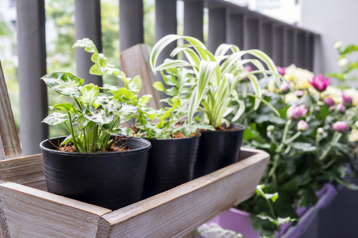 Mini Balkon mit Pflanzen