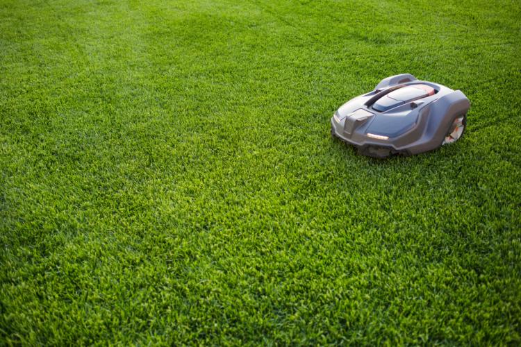 Smarter Roboter auf dem Rasen