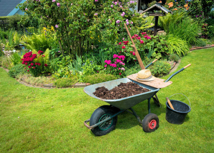 Schubkarre voll Erde in Garten