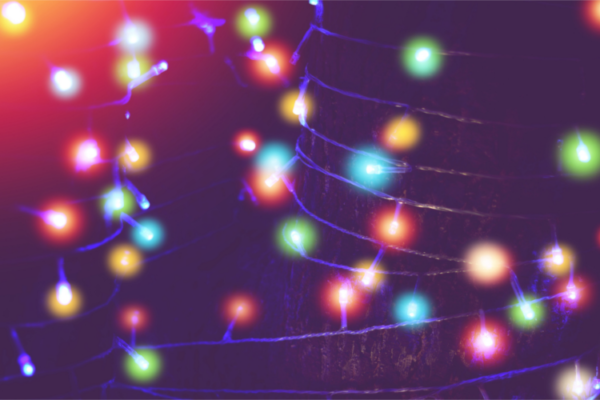 Eine bunte Lichterkette im Garten und um einen Baum gewickelt